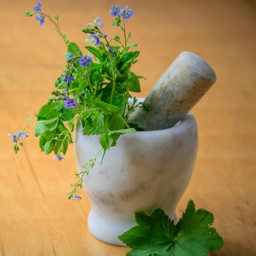 Strong Herbs for Organic Wellness Strong Herbs for Organic Wellness