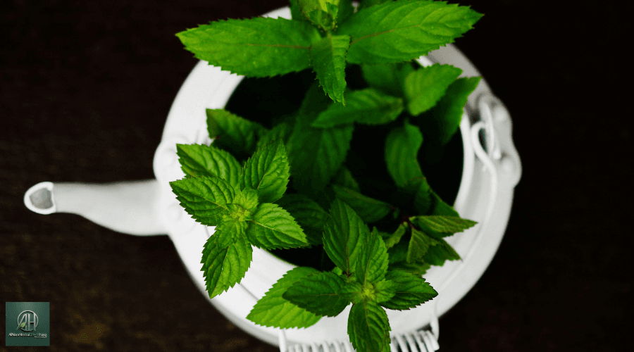 Herbal Remedies for Rosacea Herbal Remedies for Rosacea