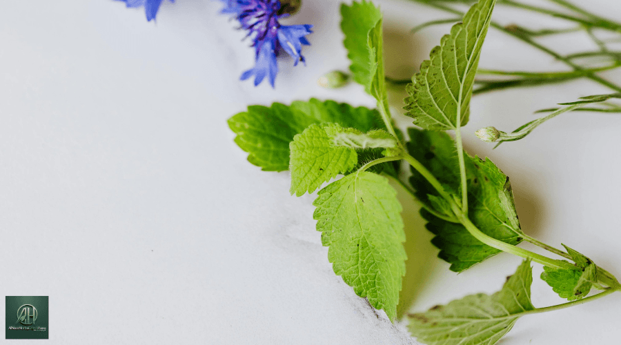 DIY Herbal Remedies: Powerful Medicinal Recipes to Try at Home DIY Herbal Remedies: Powerful Medicinal Recipes to Try at Home